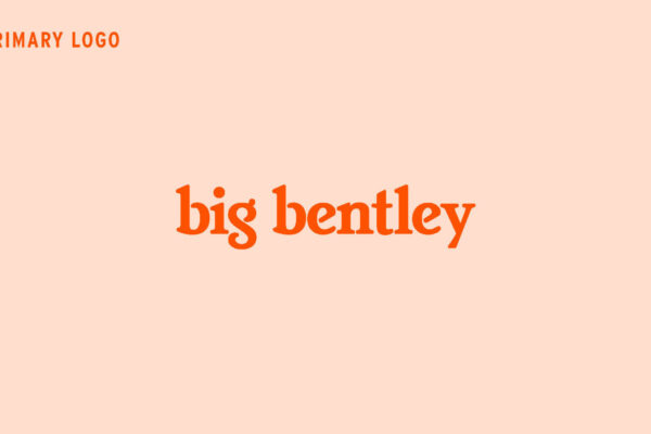 Big_Bentley_Re-Brand-Identity_Page_06-1536x875
